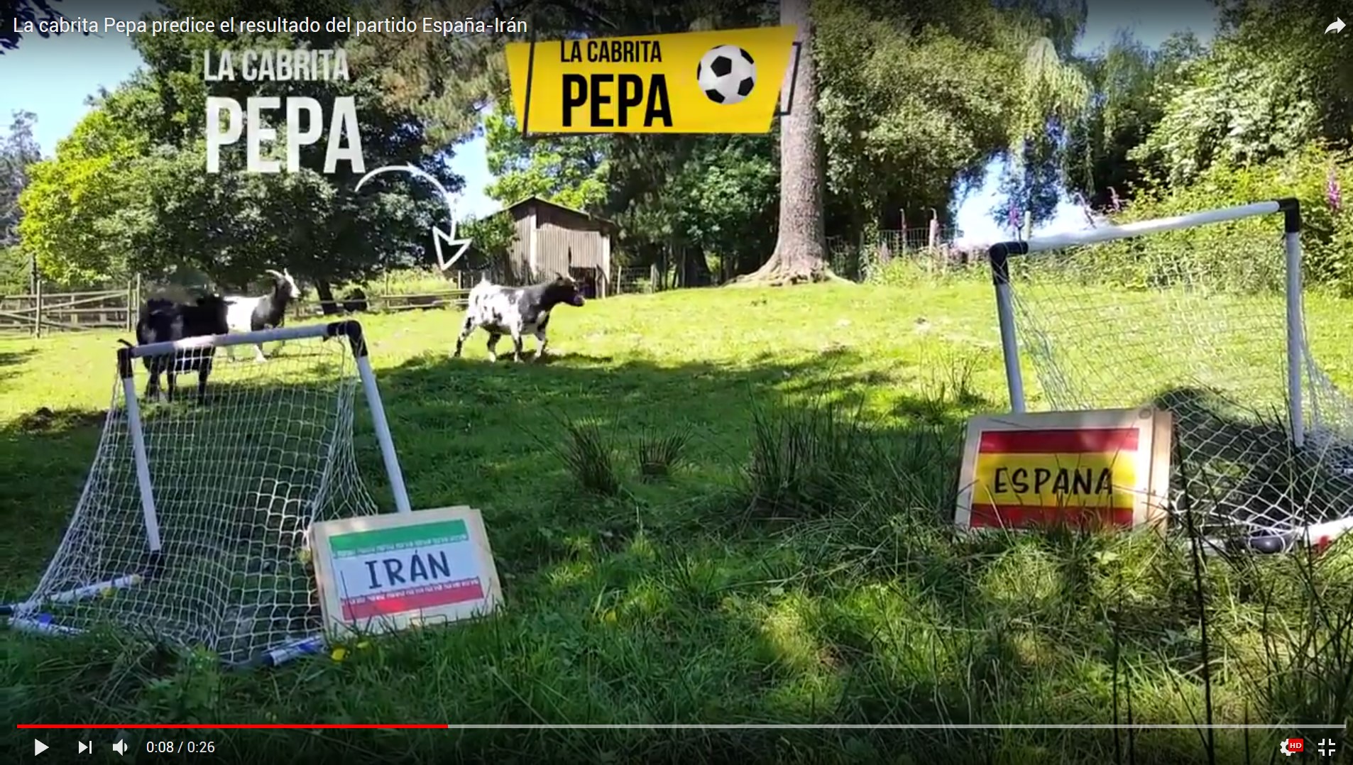La cabrita Pepa adivina el resultado España-Irán